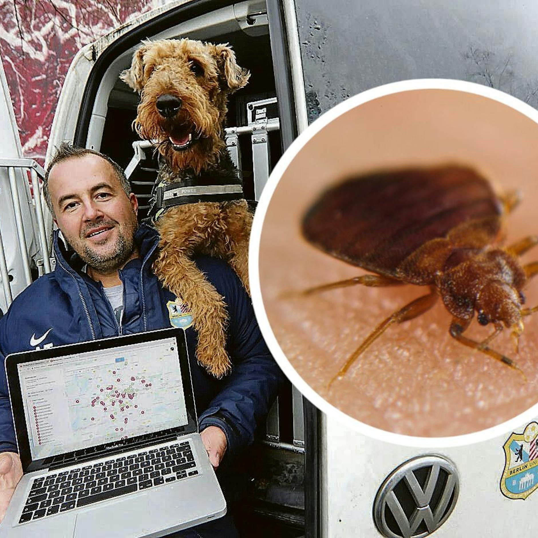 Tod durch Phosphin! Experte warnt: Bettwanzen-Gift gibt es auch in Berlin