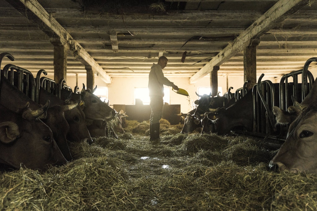 „Keiner will mehr übernehmen.“ – Wie Ostdeutschlands Junglandwirte um ihre Zukunft kämpfen