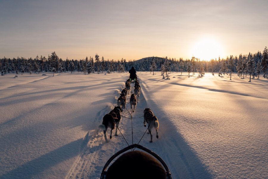 Nordischer Winterzauber: Last Minute Schwedisch Lappland zum Jahreswechsel oder Jahresstart entdecken. Jetzt buchen!