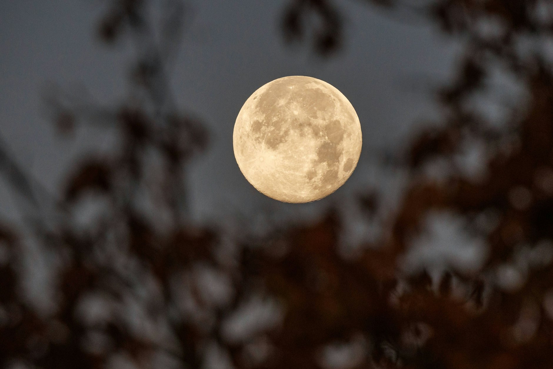 Die Artemisia-Mission der Nasa soll im kommenden Jahr starten, den Mond umrunden. eine Landung auf dem Erdtrabanten ist aber nicht geplant.
