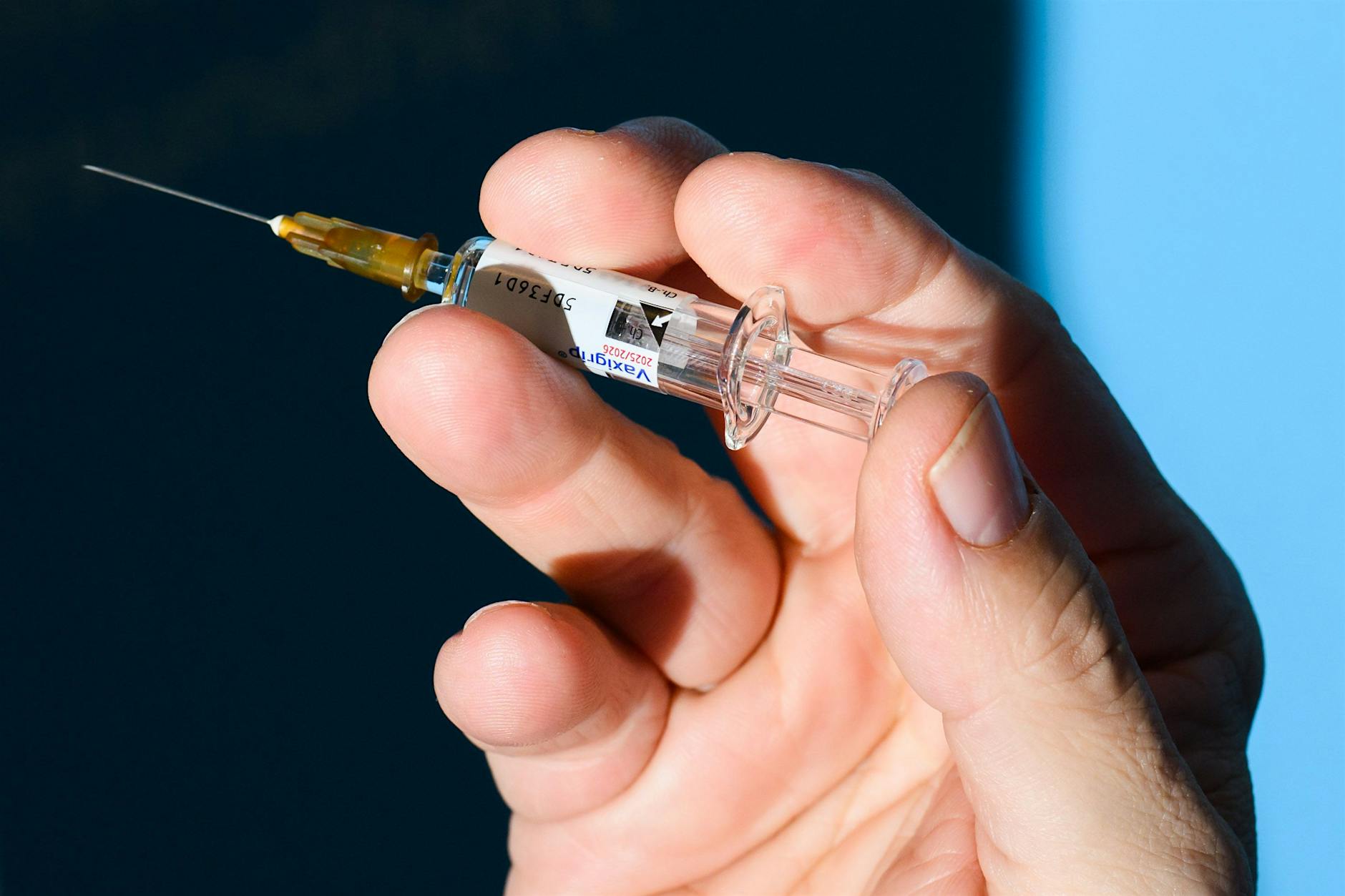 Grippe-Welle: Neue Variante H3N2 trifft Europa früher und härter