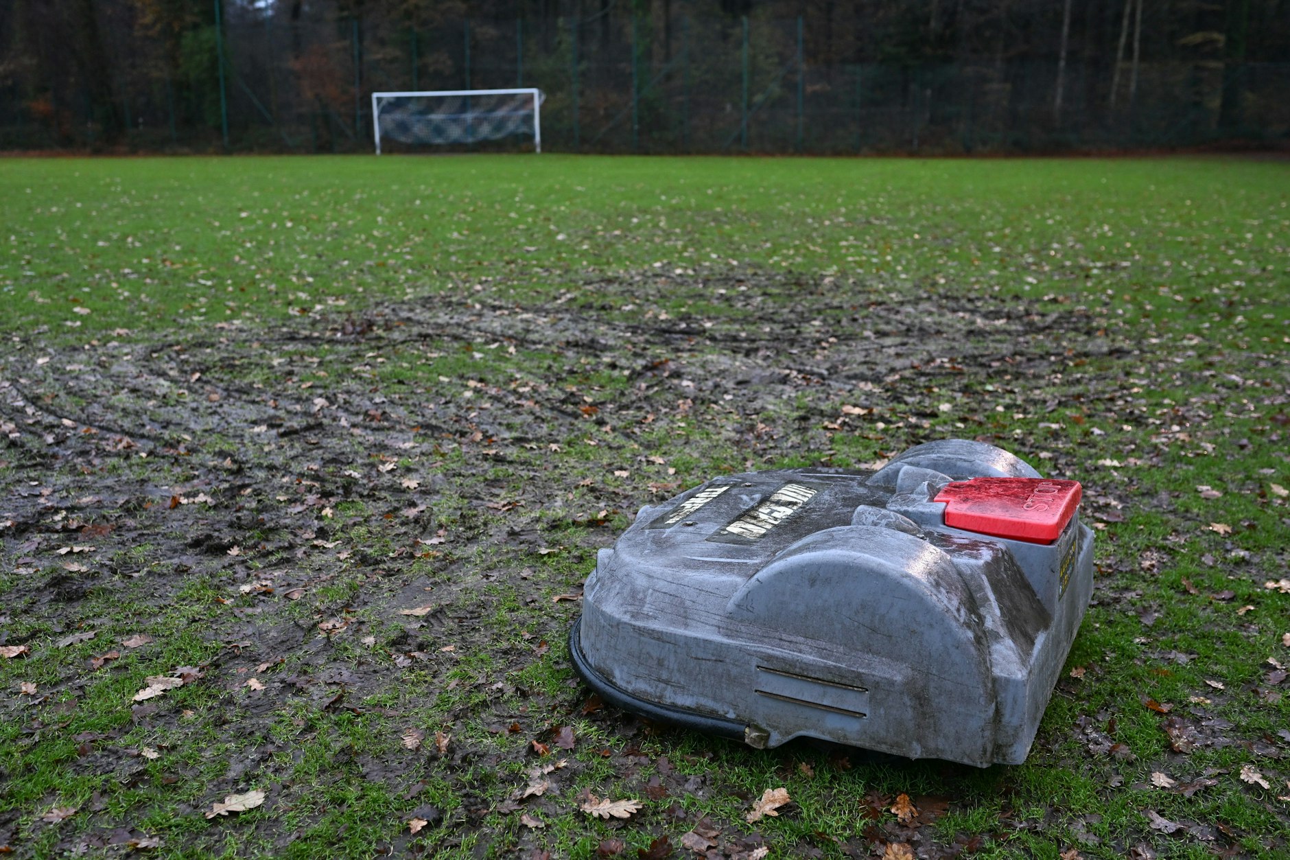 Auf einer riesigen Fläche ließ Mähroboter Robby kein Hälmchen Gras mehr stehen.