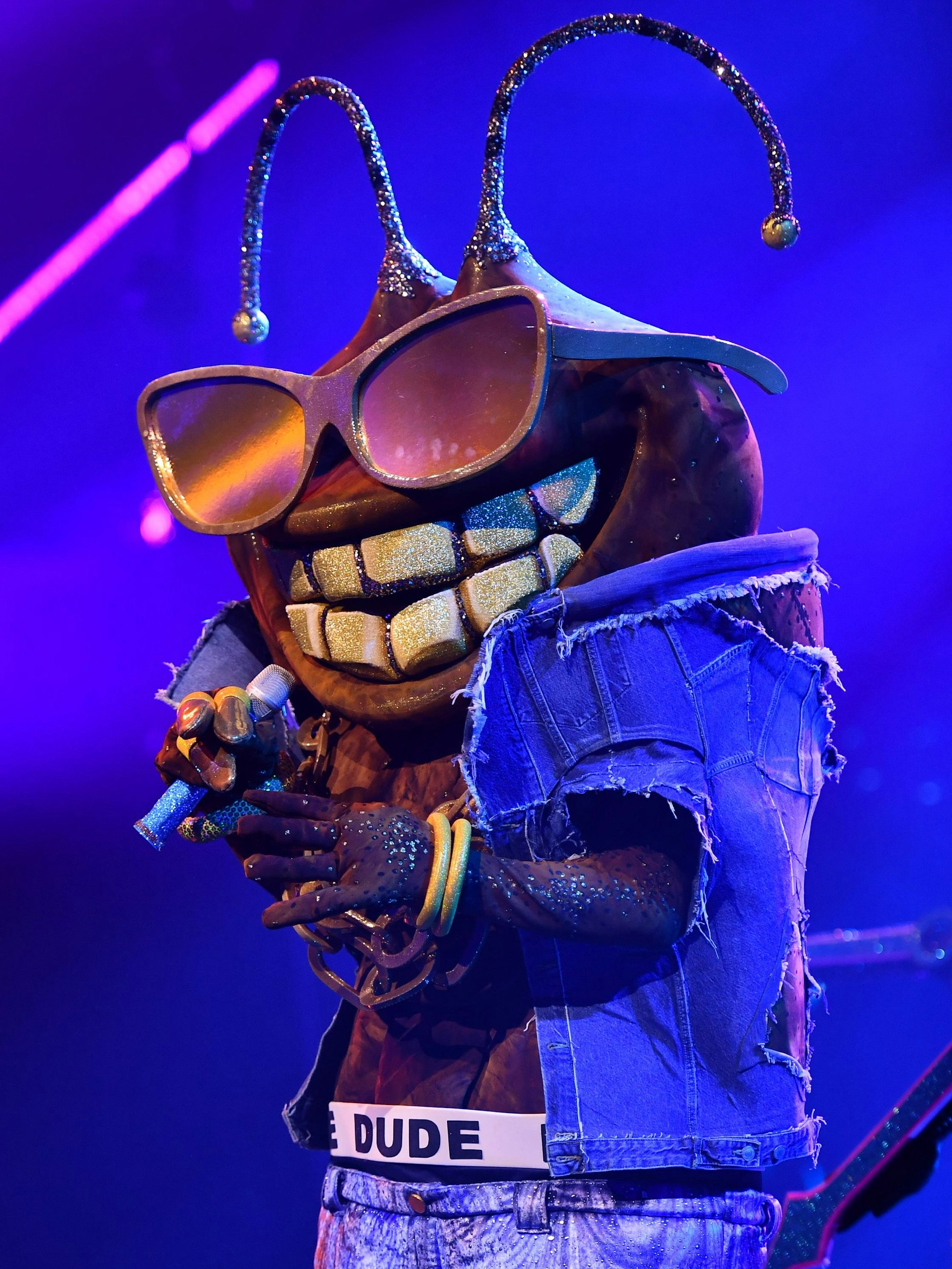 Er ist der coolste Dude bei „Masked Singer“: Im Kostüm der Stinkwanze versteckt sich laut Rate-Experten Evil Jared Hasselhoff.