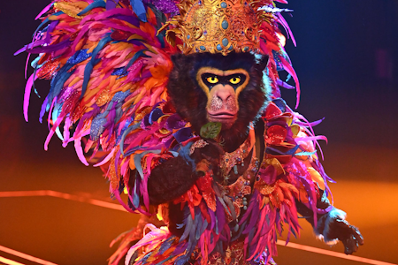 King bei „Masked Singer“ aufgeflogen! Zoff im Netz: Hat er alle reingelegt?