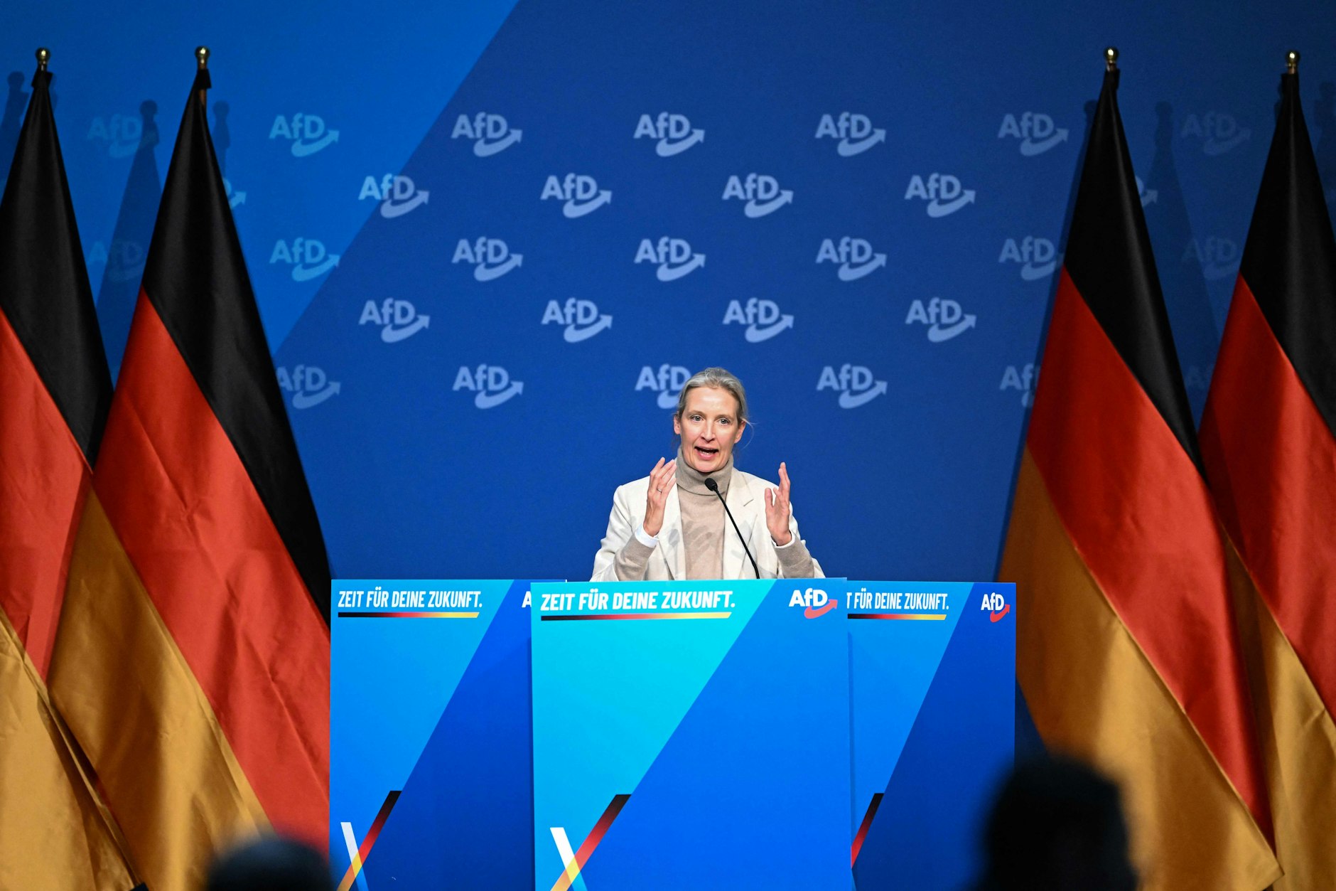 Alice Weidel attackiert die Presse: „Sie haben einen Anteil am Klima in diesem Land“