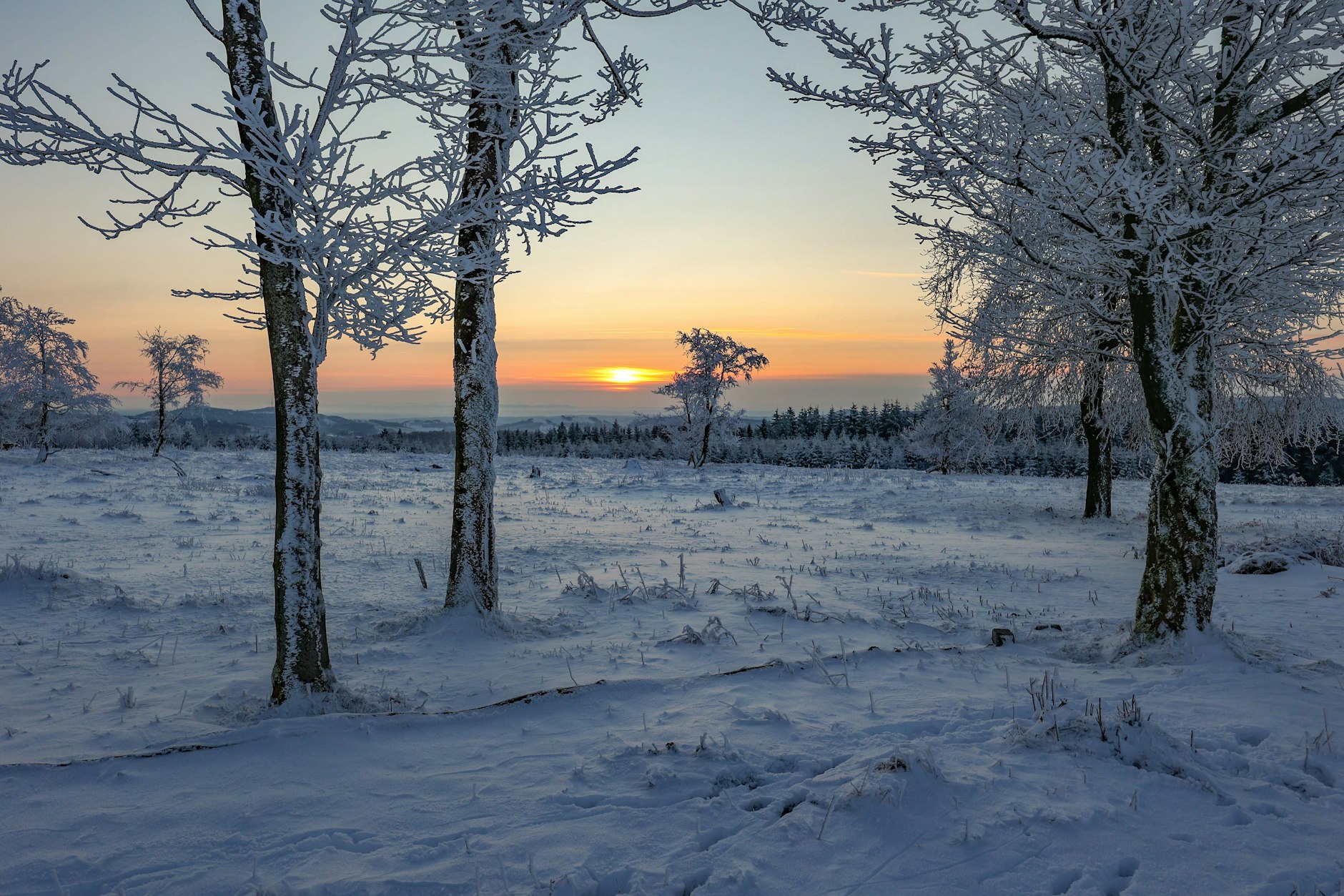 Der Trend ist eindeutig: Die Wahrscheinlichkeit für weiße Weihnachten nimmt ab.