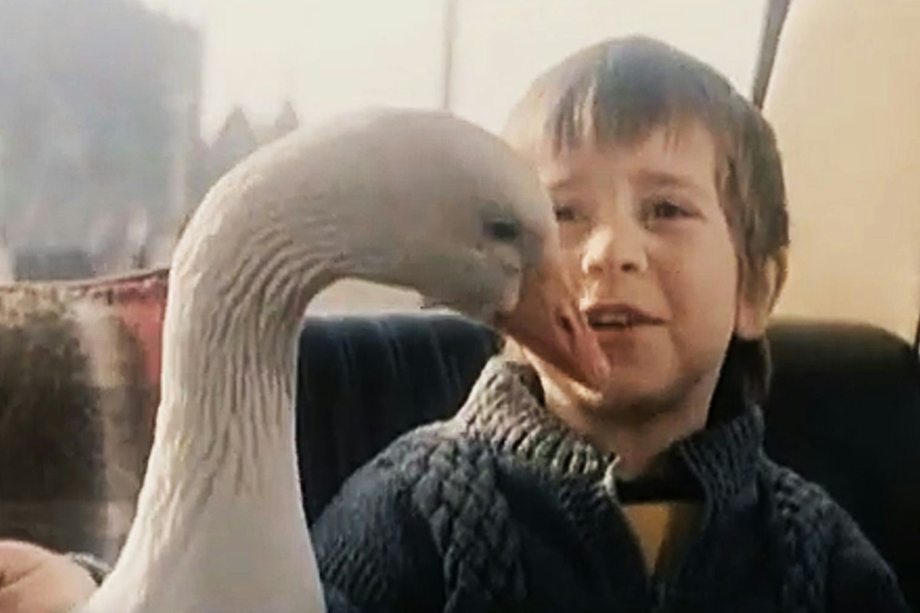 Schauspieler Daniel Mewes spielte in „Die Weihnachtsgans Auguste“ den kleinen Peter, der sich mit dem Weihnachtsbraten anfreundet.