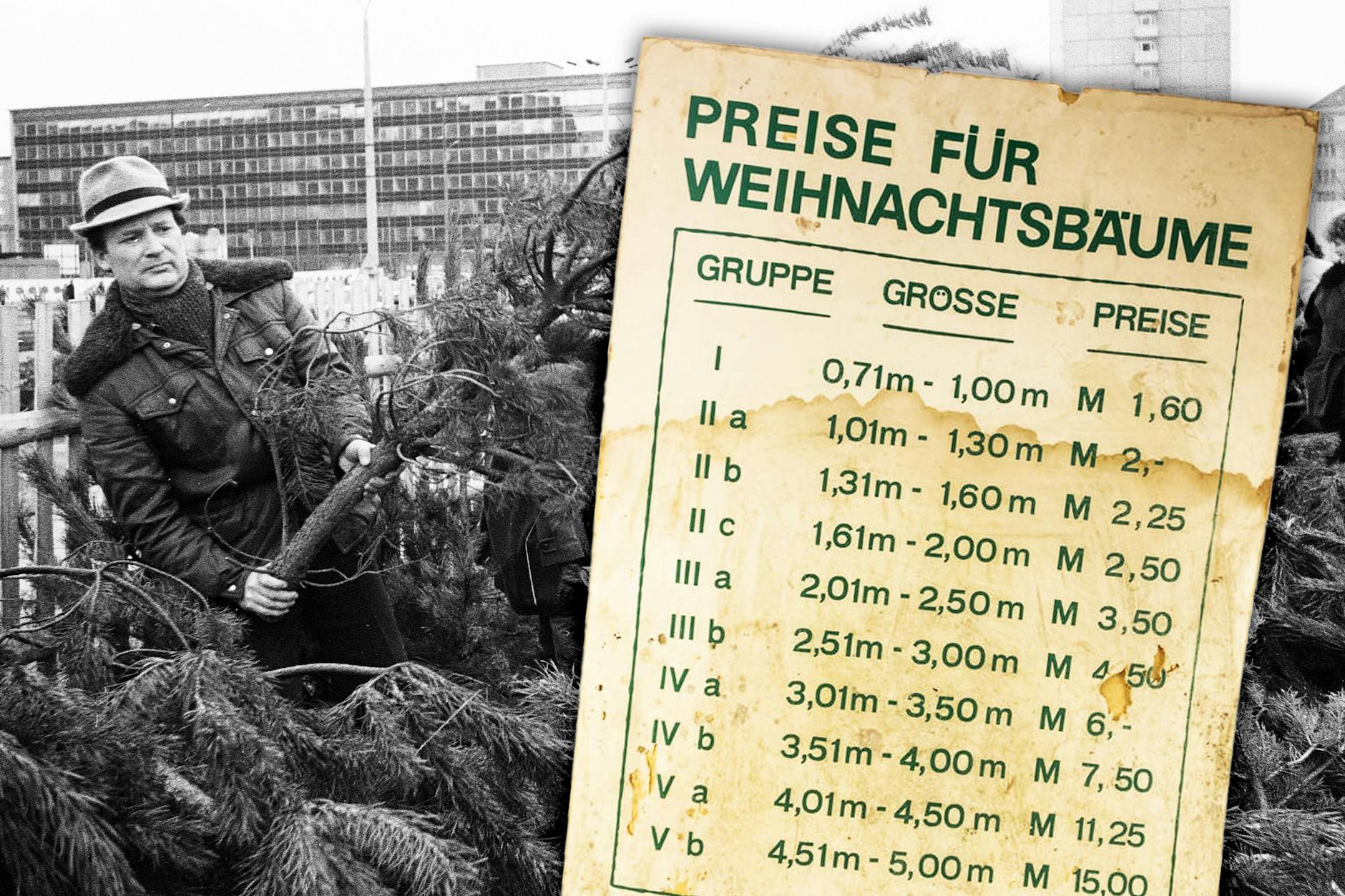 Was kostete ein Weihnachtsbaum in der DDR? Die Preisliste aus dem DDR Museum Berlin lässt uns heute staunen. Dafür war es gar nicht so leicht, an einen ordentlichen Baum zu kommen.