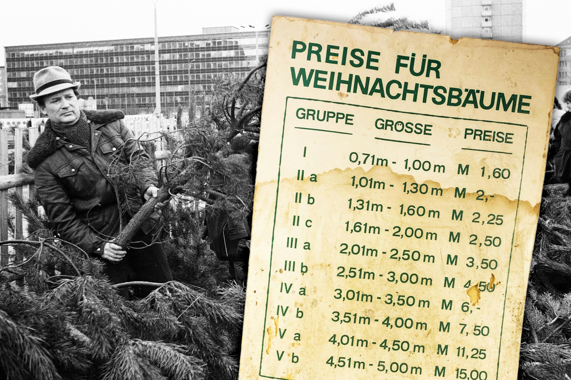 Was kostete ein Weihnachtsbaum in der DDR? Die Preisliste aus dem DDR Museum Berlin lässt uns heute staunen. Dafür war es gar nicht so leicht, an einen ordentlichen Baum zu kommen.