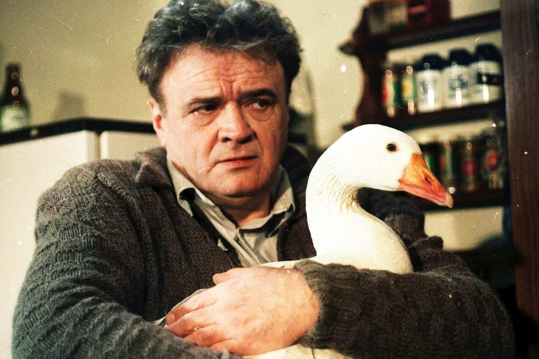 Dietrich Körner spielte in „Die Weihnachtsgans Auguste“ den Opernsänger Ludwig Löwenhaupt, der mit dem Weihnachtsbraten kämpfen muss. Der Kult-Film aus der DDR ist noch heute einfach herrlich!