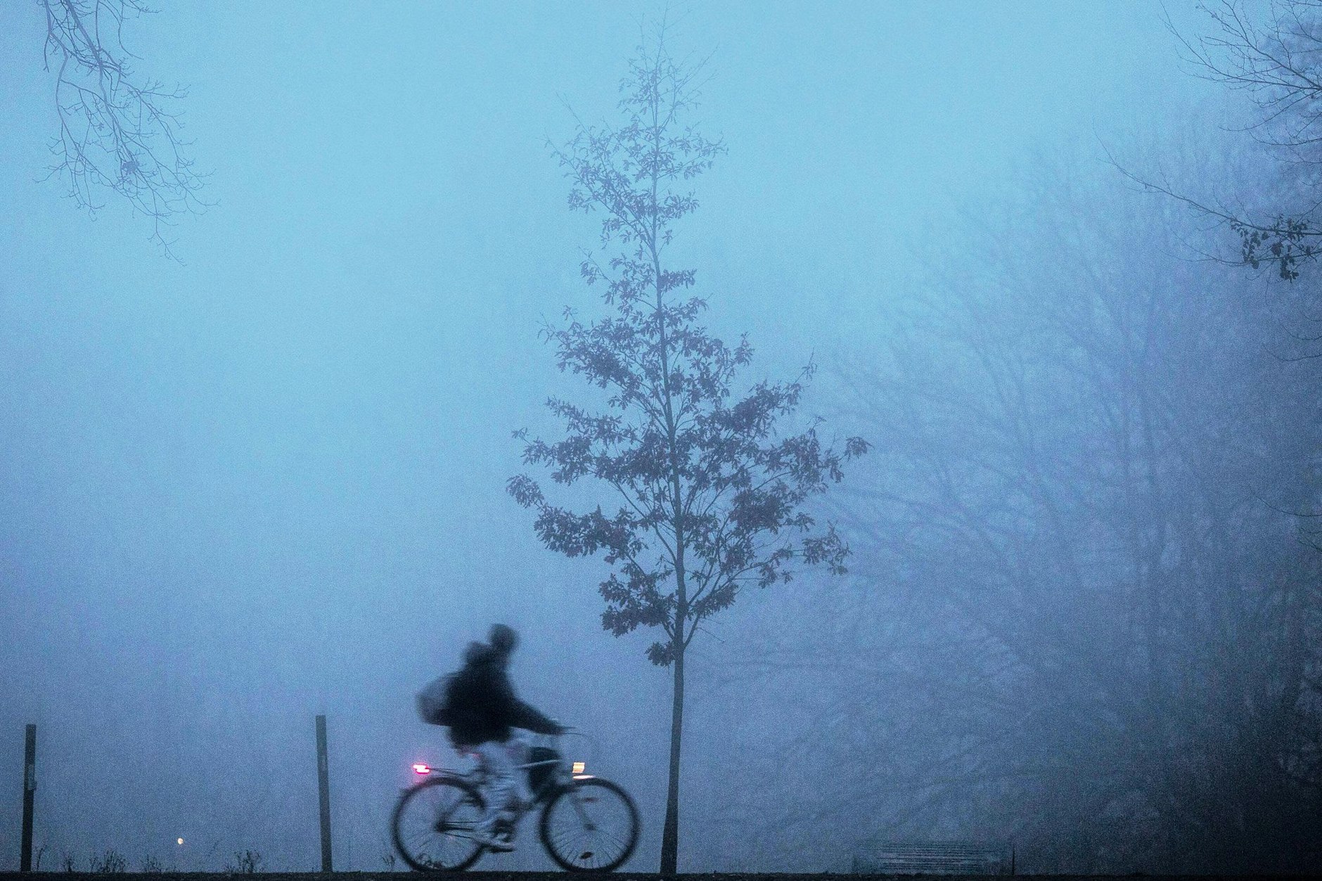 Ein Radfahrer fährt bei Nebel durch den Tiergarten in Berlin.