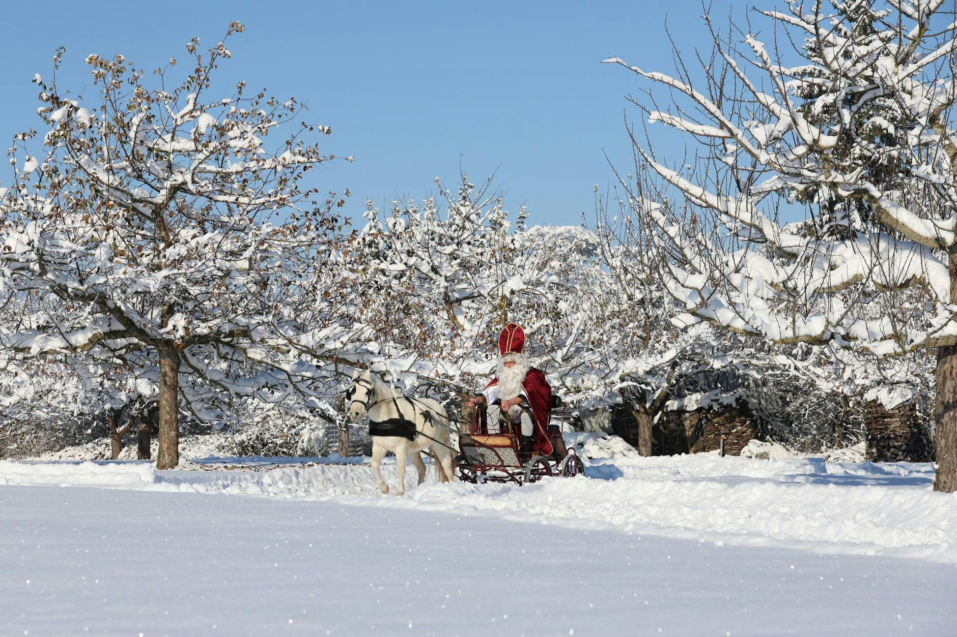 Weiße Weihnachten sind 2025 sogar in Berlin und Brandenburg möglich