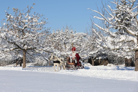 Neue Chance für weiße Weihnachten! Wir dürfen noch hoffen