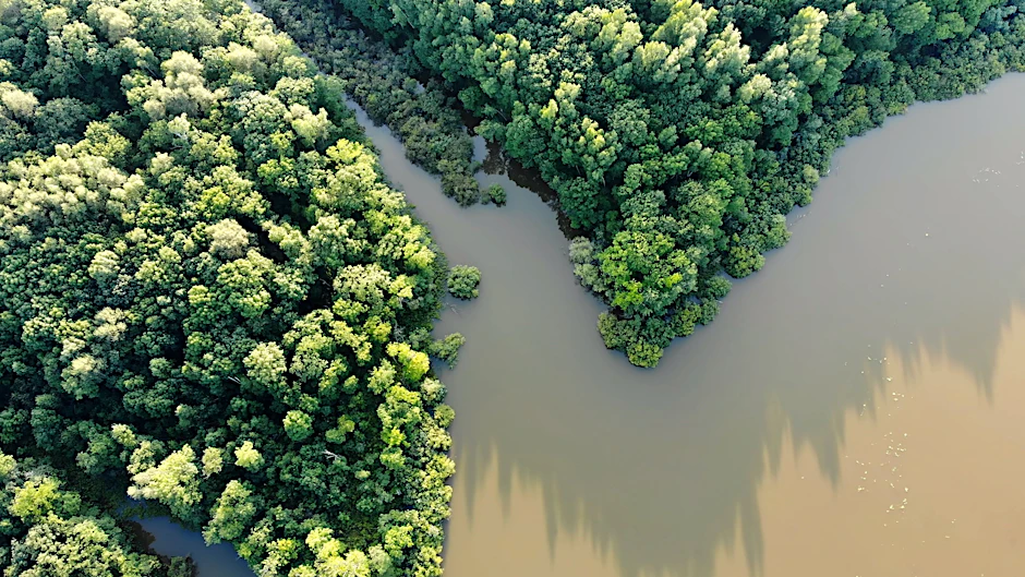 Blick auf den Amazonas, der sich über mehrere Staaten Südamerikas zieht.