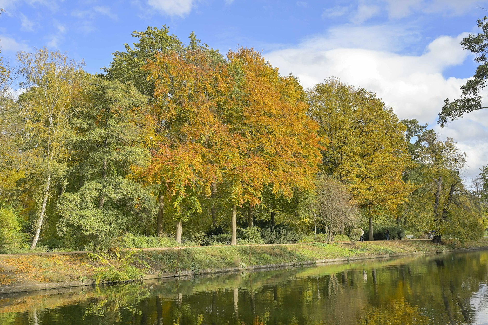 Hätten Sie sich vorstellen können, dass hinter diesen Bäumen im Tierpark ein Wolkenkratzer in den Himmel ragt?
