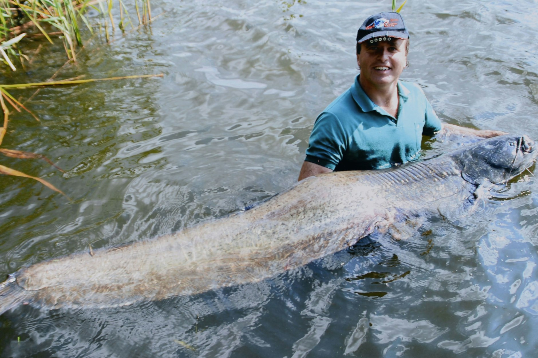 Das sind schon Fluss-Monster: Angelpapst Stephan Höferer mit einem Wels.