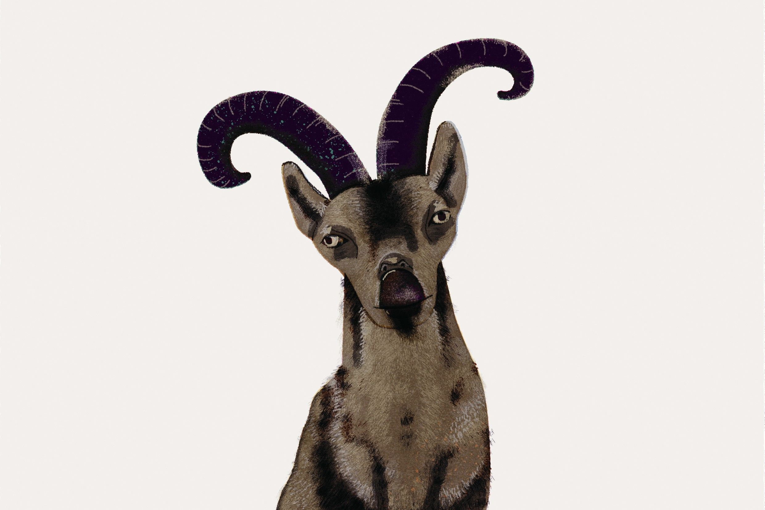 Anthologie über das Massenaussterben: Warum es der Artenvielfalt hilft, wenn wir den Humor behalten