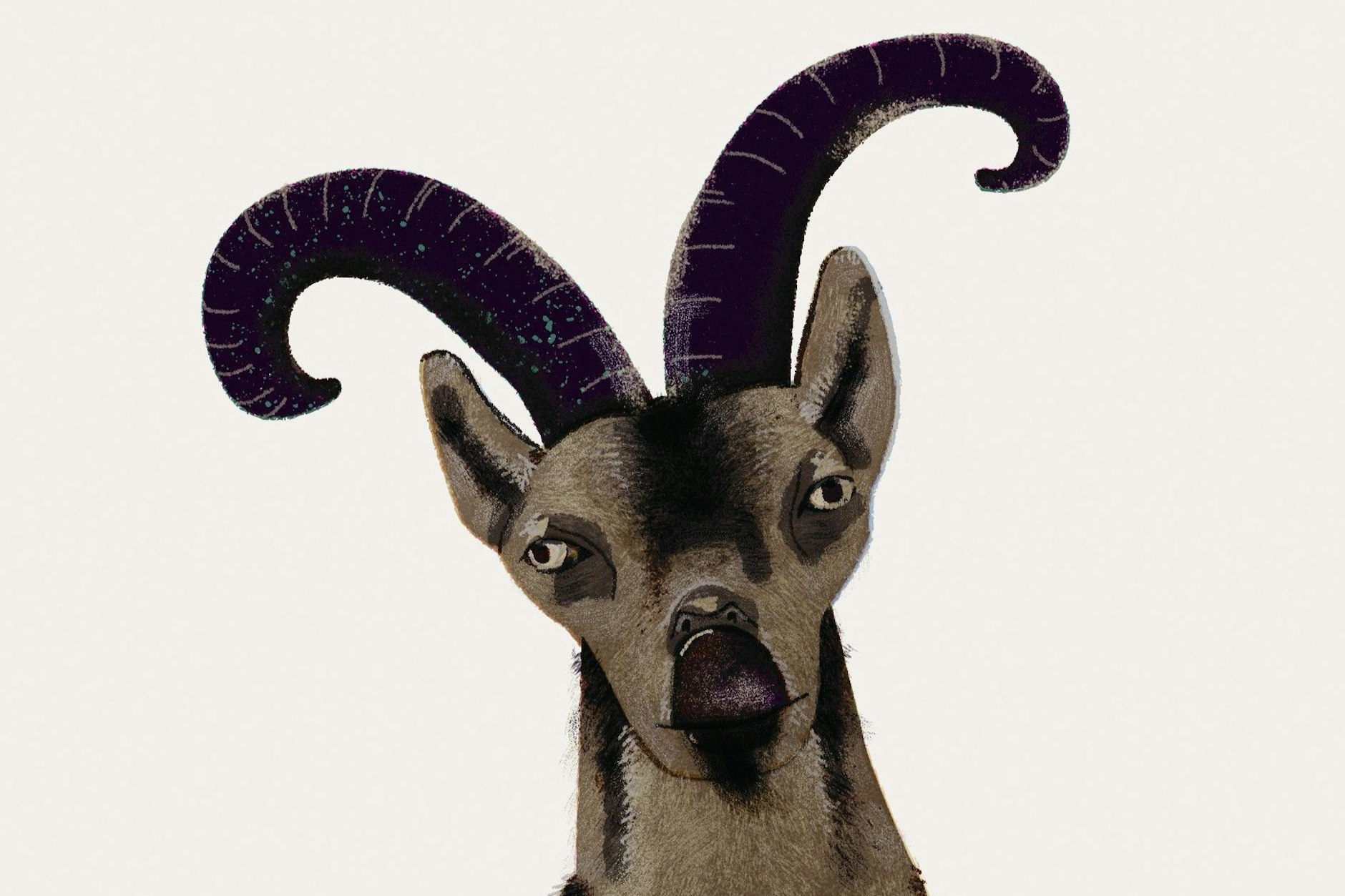 Der Pyrenäen-Steinbock sieht uns an, dabei gibt es seine Art nicht mehr.