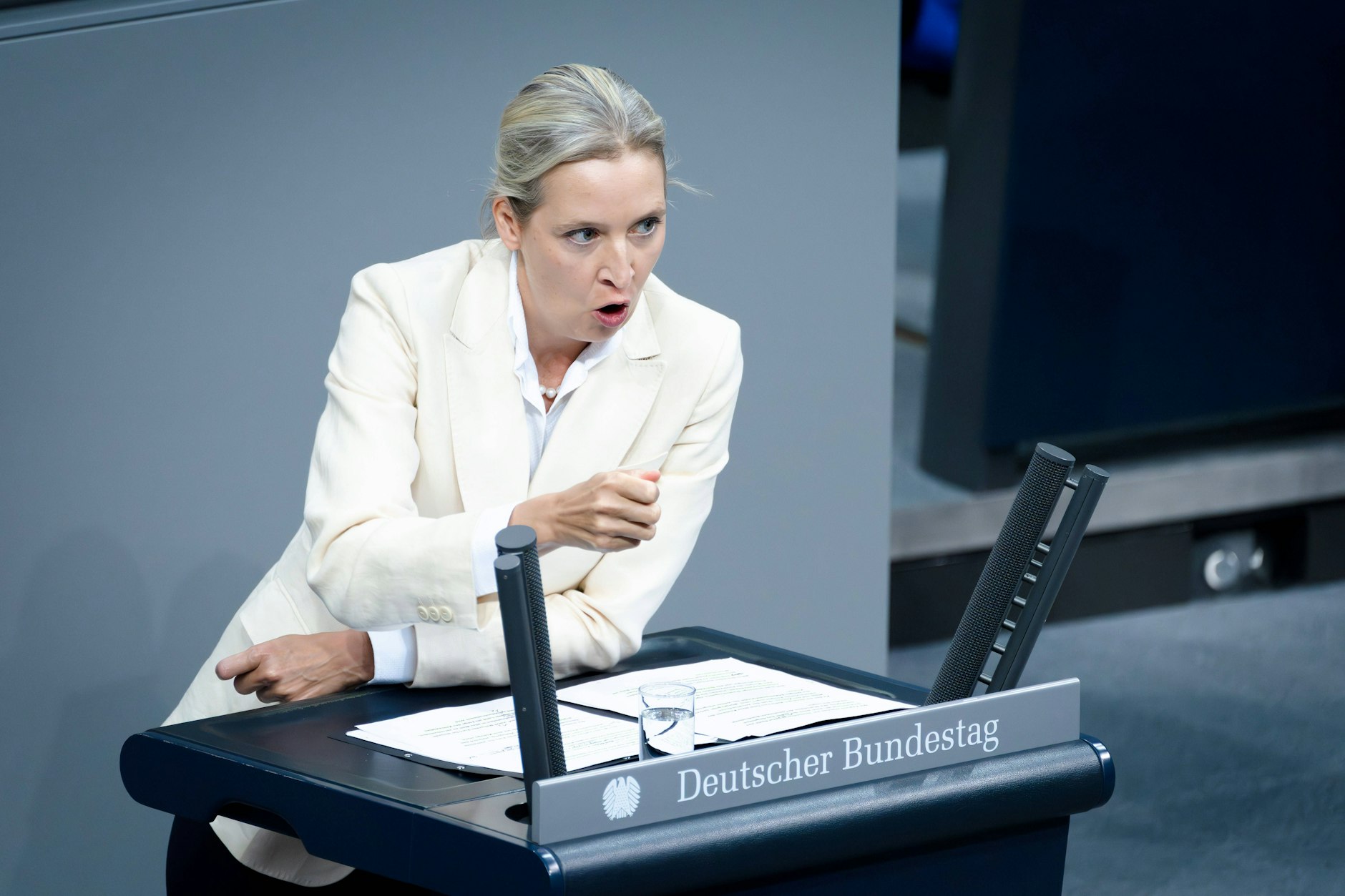  Alice Weidel im Bundestag.