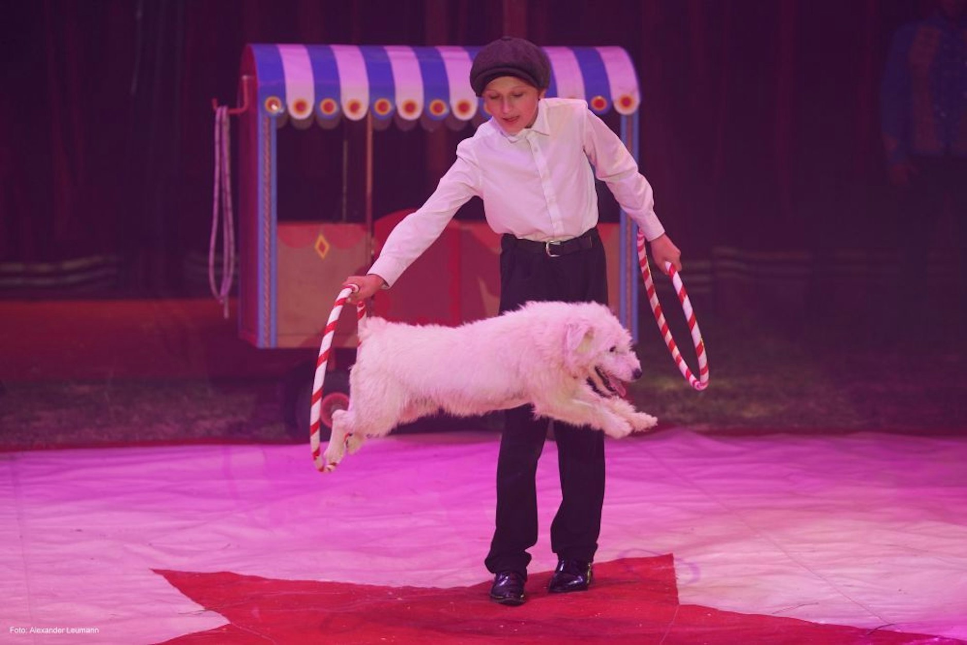 Santino mit seinen Hundefreunden lässt Kinder lachen. Er ist zudem derzeit in vielen Kinos in dem Jugendfilm ZIRKUSKIND zu erleben, in dem er die Hauptrolle spielt.