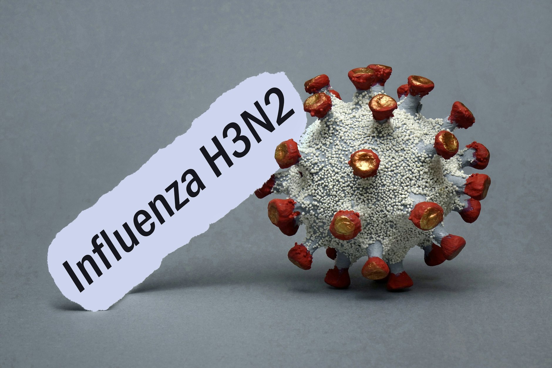 Die neue Grippe-Variante H3N2 sorgt aktuell für viel Husten und Schnupfen in Großbritannien. Schon bald könnte sie auch nach Deutschland kommen.