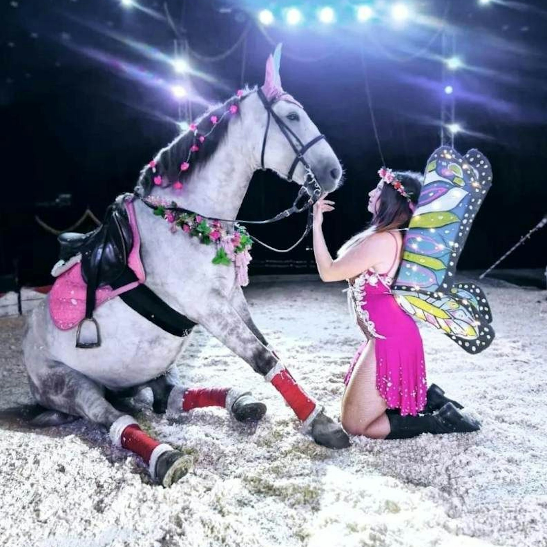 Angelina Adam - Engel mit Pferd reitet Hohe Schule