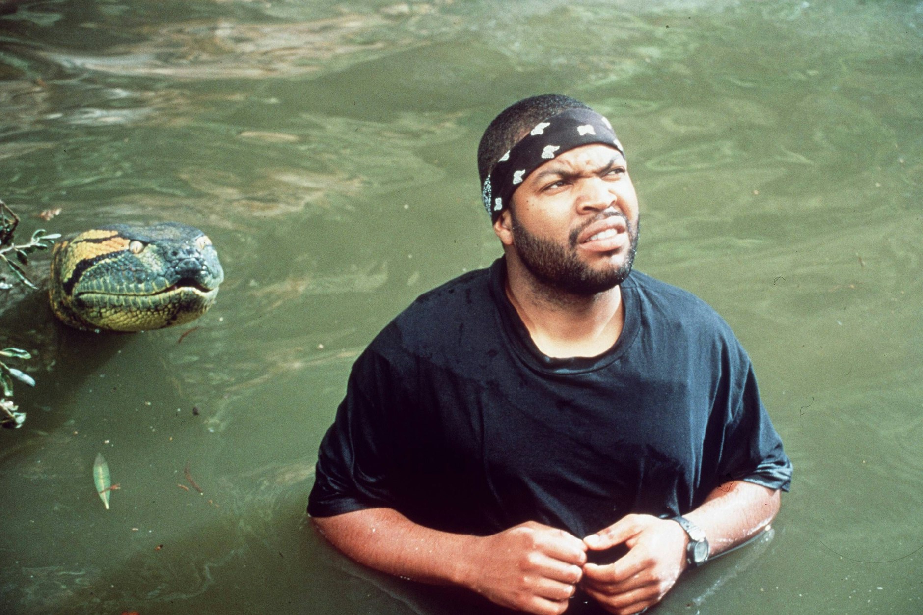 Jetzt aber schnell zurück in den Paläontologiekurs – Szene aus dem Film „Anaconda“