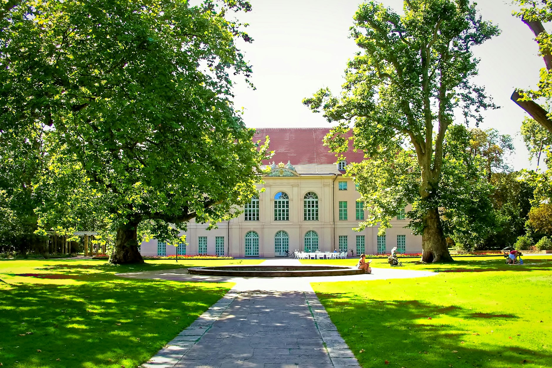 Der Baum (hier rechts im Bild) wurde von Brandstiftern in Brand gesteckt, die Feuerwehr musste am Freitag löschen.