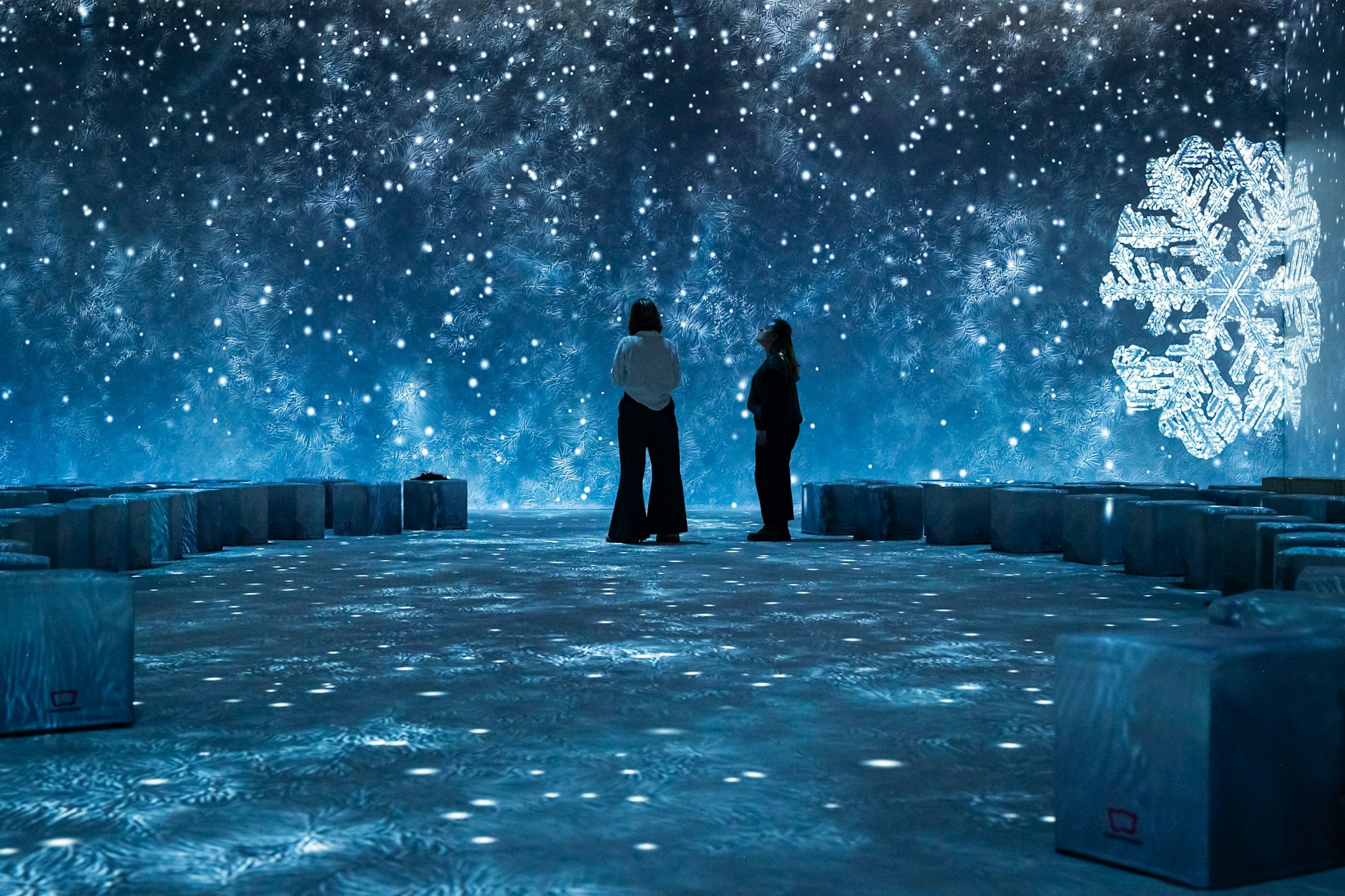 Mit eindrücklichen Bildern tauchen Besucher in eine Welt aus Eis und Kälte ein.