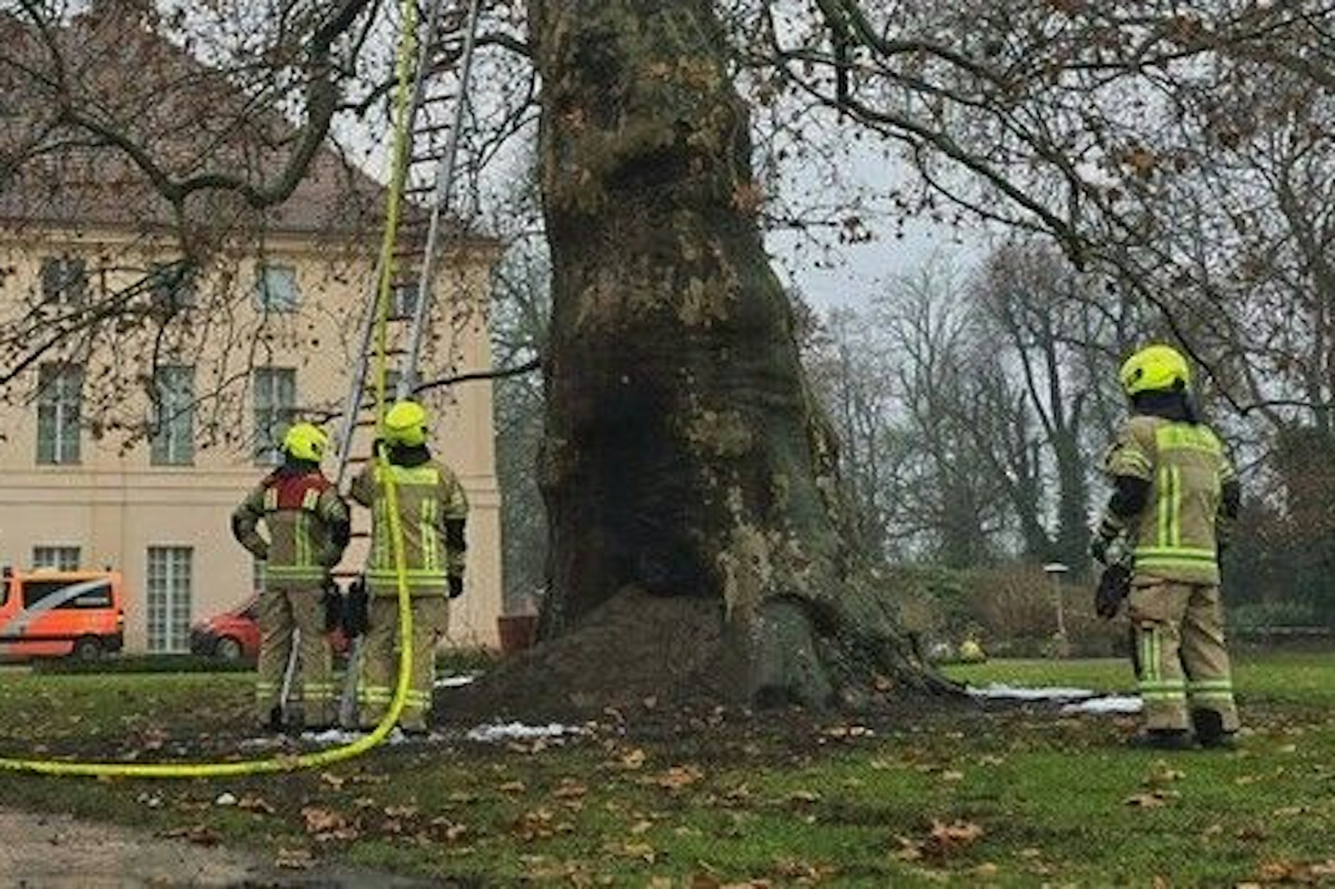 Die Feuerwehr musste am Freitag einen Baum im Schlosspark Schönhausen löschen. Vermutlich wurde das Feuer durch Brandstifter gelegt.