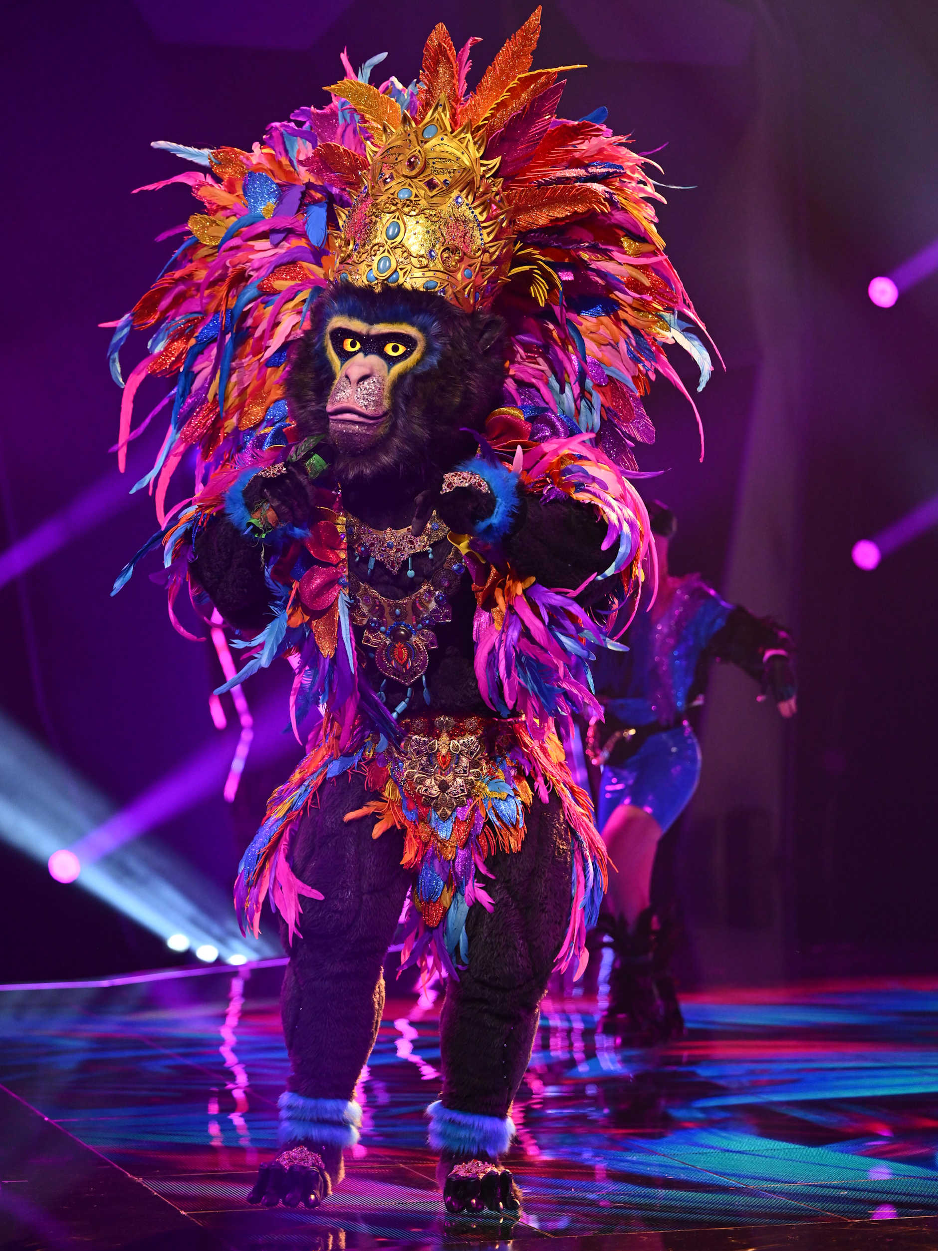 Ist der King wirklich Wayne Carpendale? Viele Fans sind sicher, dass sie den Star im Affenkostüm bei Masked Singer erkannt haben.