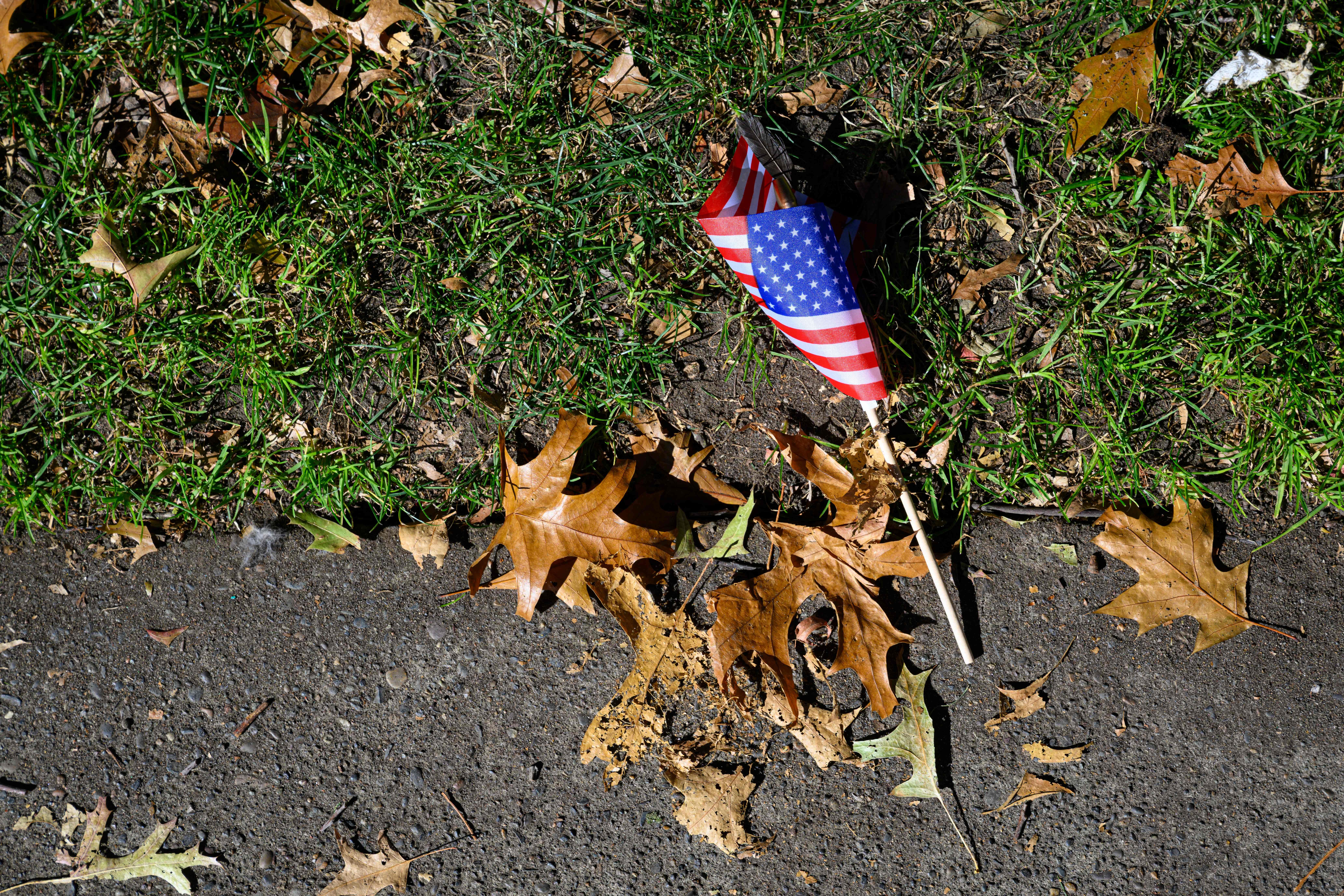 Image - „Der Kapitalismus stirbt – aber sehr erfolgreich“ – Wie Trump und Big Tech das System ins Extreme treiben