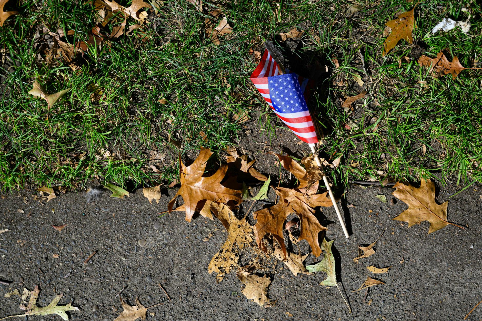 Stars and Stripes am Boden: Das regulierende System der USA ist unter Druck.