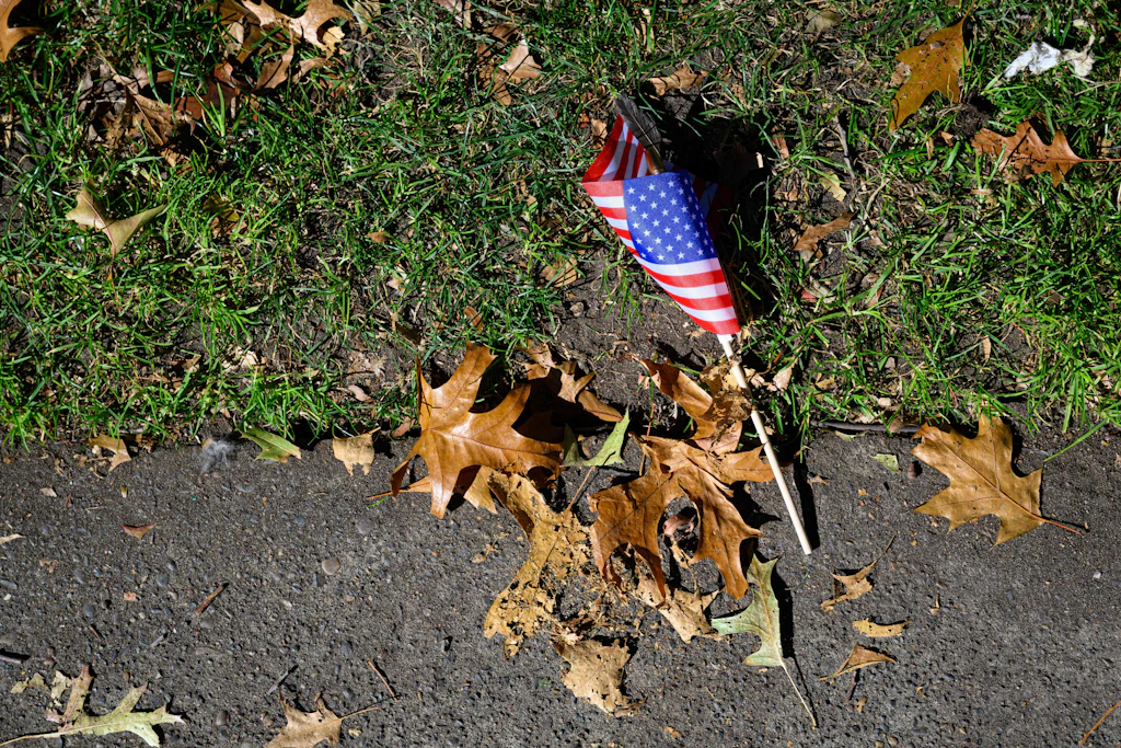 Stars and Stripes am Boden: Das regulierende System der USA ist unter Druck.