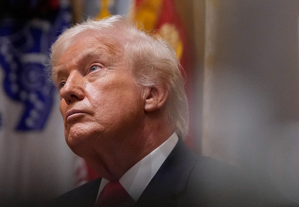 German government on new US security strategy: 