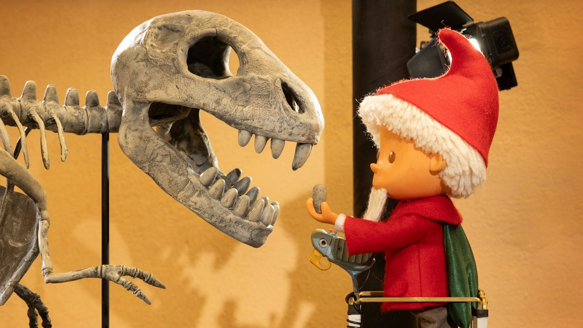 Das Sandmännchen gibt im Berliner Naturkundemuseum dem Dino den fehlenden Zahn zurück.