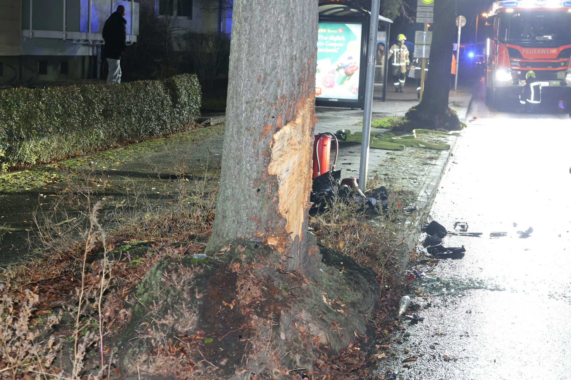 Bevor der BMW sich überschlug, krachte er gegen diesen Straßenbaum.