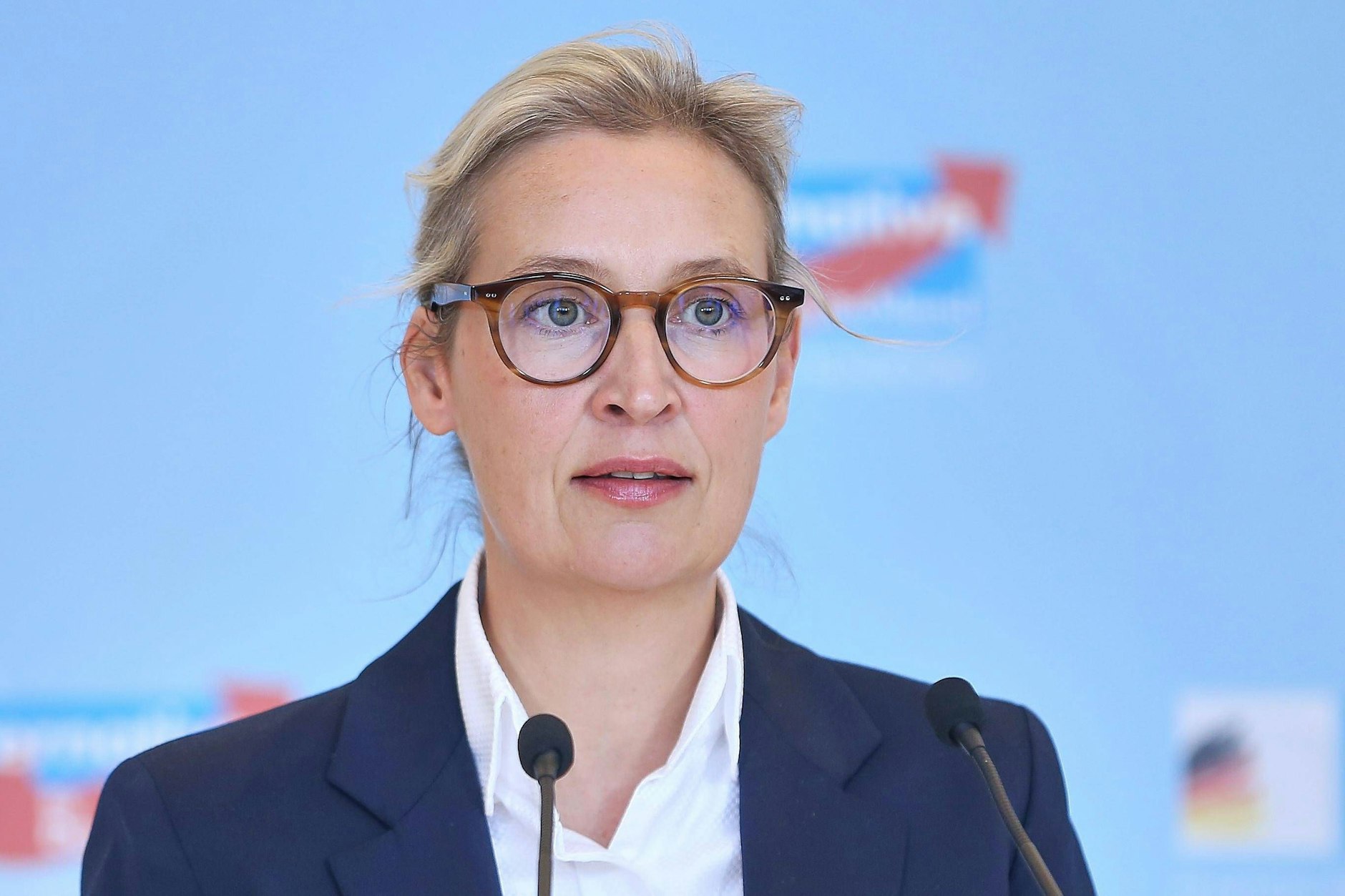 Alice Weidel sorgte mit einem Auftritt bei Welt TV für Kritik.