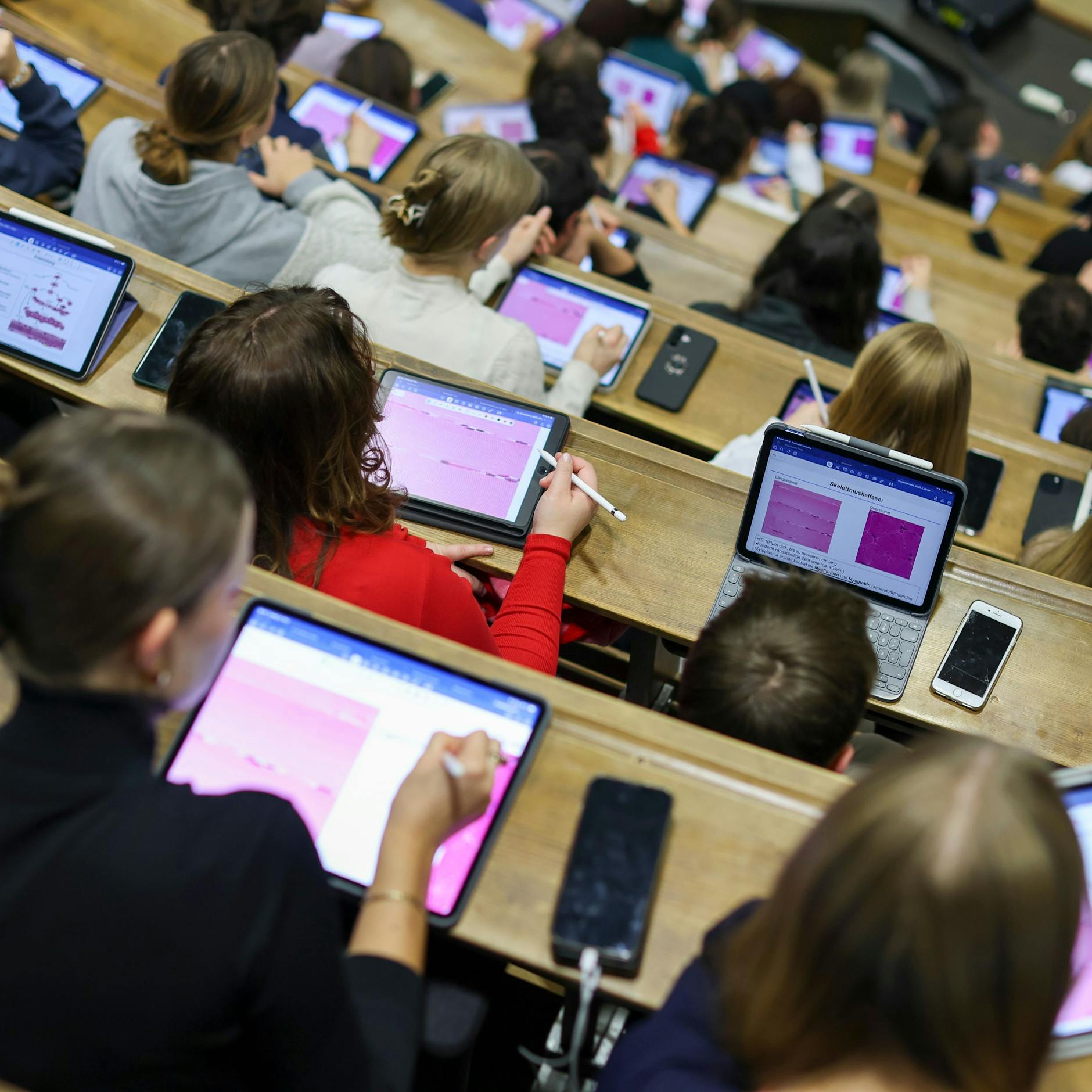 Image - Weniger Studienanfänger in Berlin – wo die Zahlen hochgehen