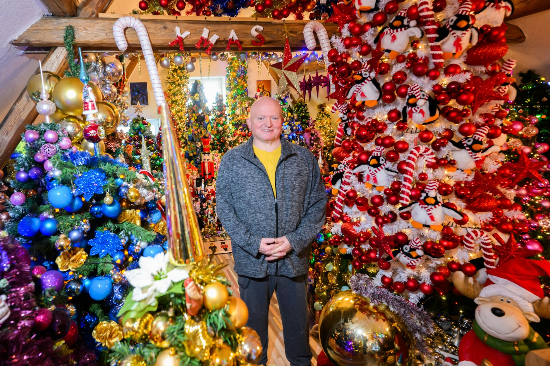 Er lebt im Tannenwald: Thomas Jeromin zwischen Hunderten Christbäumen.