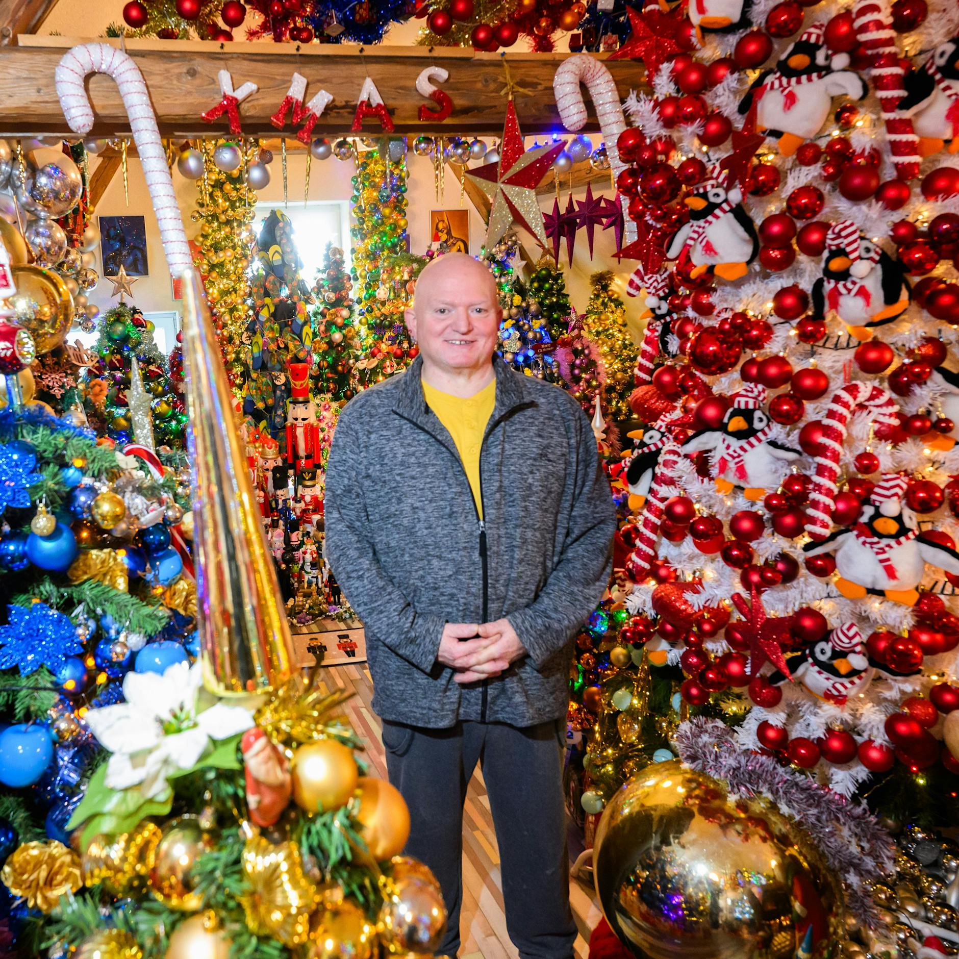 Über 600 Bäume im Haus: Deutschlands verrückteste Weihnachtsfamilie