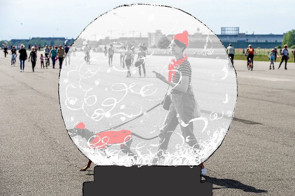 Frühling im Winter auf dem Tempelhofer Feld