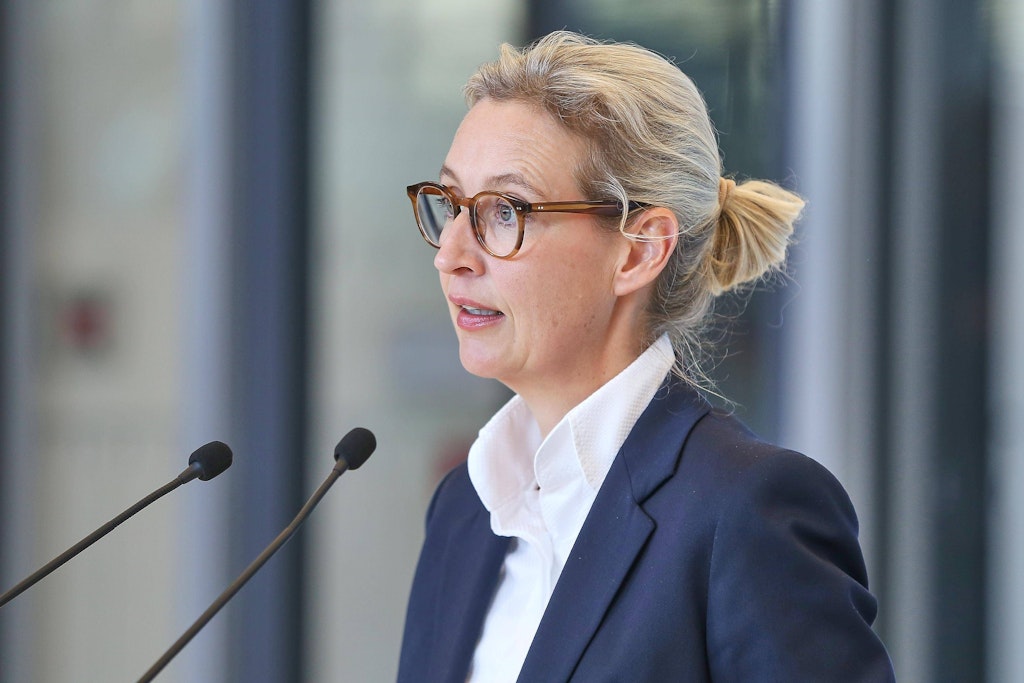 Aktuelle Umfrage: AfD gewinnt weiter, Überraschung für die Linken