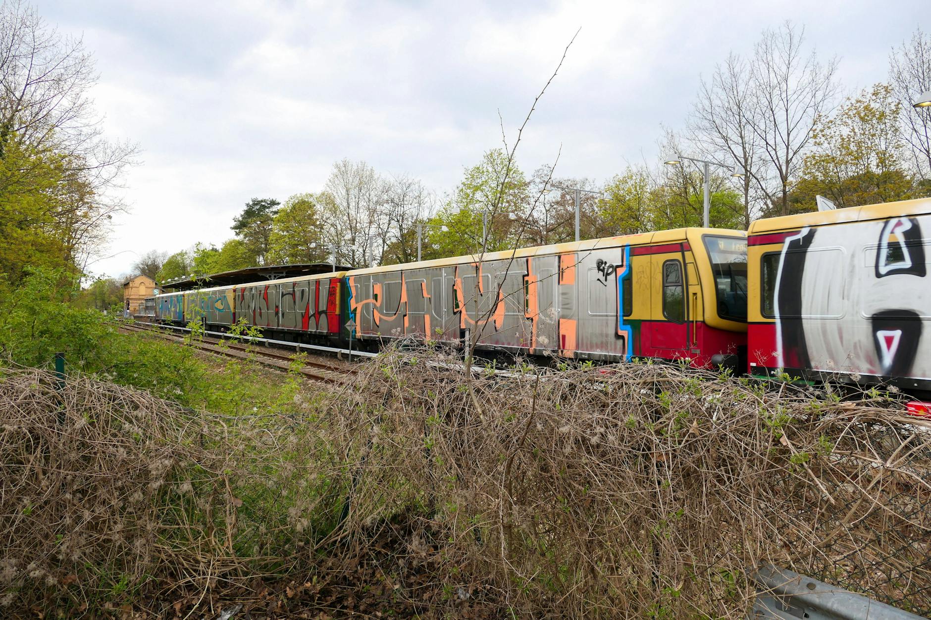 Ein mit Graffiti beschmierter S-Bahn-Zug am Bahnhof Schlachtensee. Hier starben der Hertha-Fan Konsti und sein Freund beim S-Bahn-Surfen.