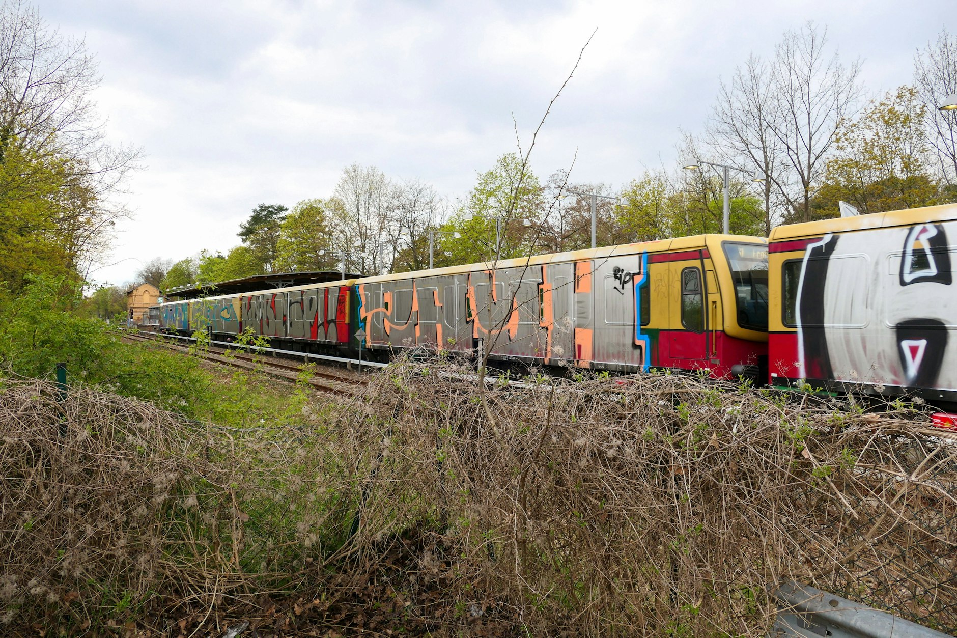 Ein mit Graffiti beschmierter S-Bahn-Zug am Bahnhof Schlachtensee. Hier starben der Hertha-Fan Konsti und sein Freund beim S-Bahn-Surfen.