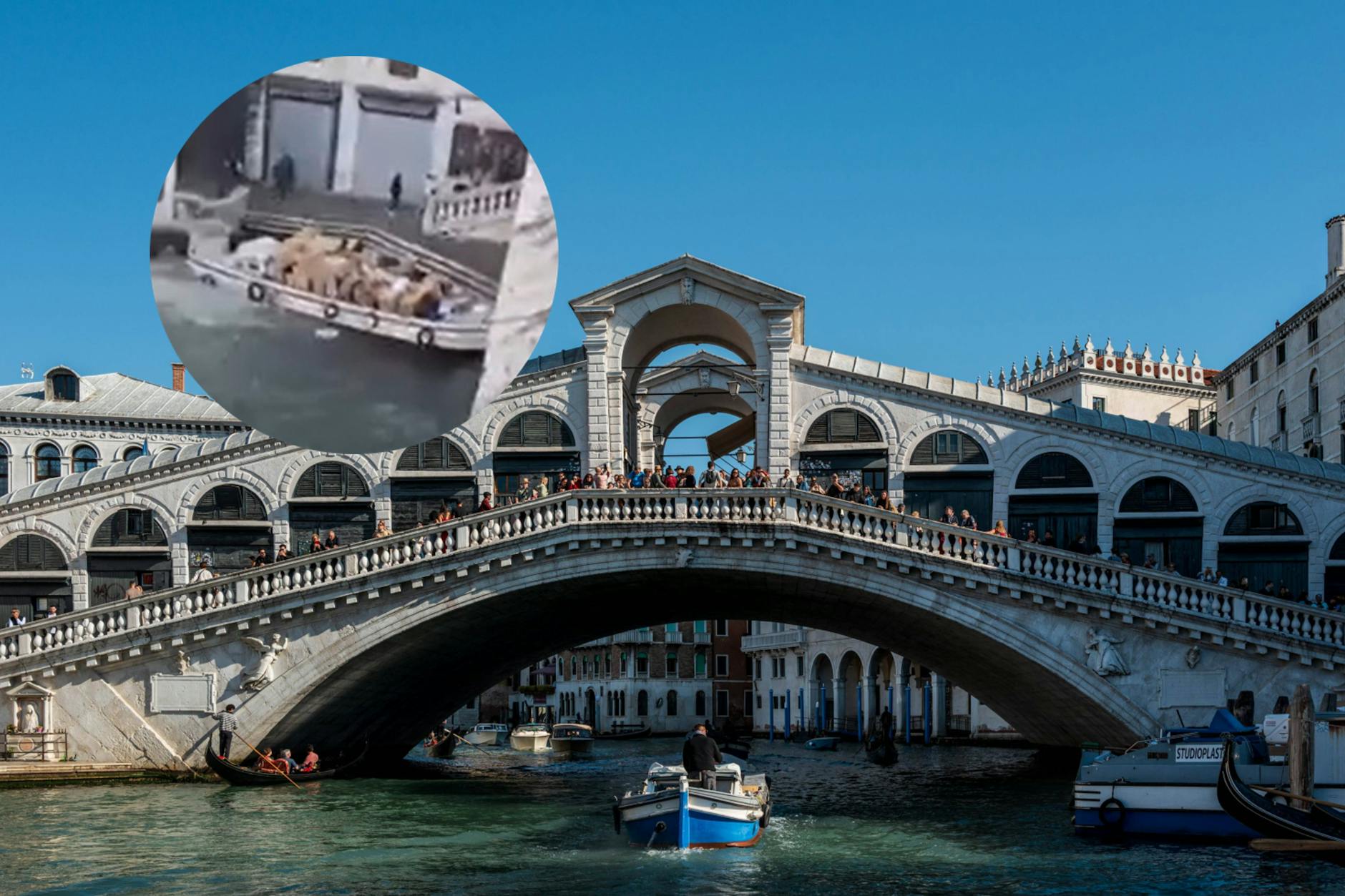 Venedigs berühmtestes Wahrzeichen, die Rialto-Brücke, wurde von einer betrunkenen Frau demoliert – sie fuhr mit einem geklauten Boot dagegen.