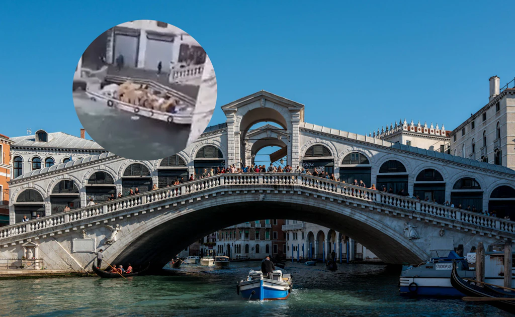 Piratin in Venedig: Betrunkene Frau demoliert Rialto-Brücke!