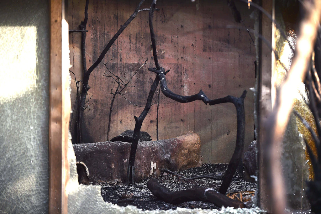 Das Affenhaus im Krefelder Zoo ist in der Silvesternacht 2020/21 vollständig niedergebrannt.