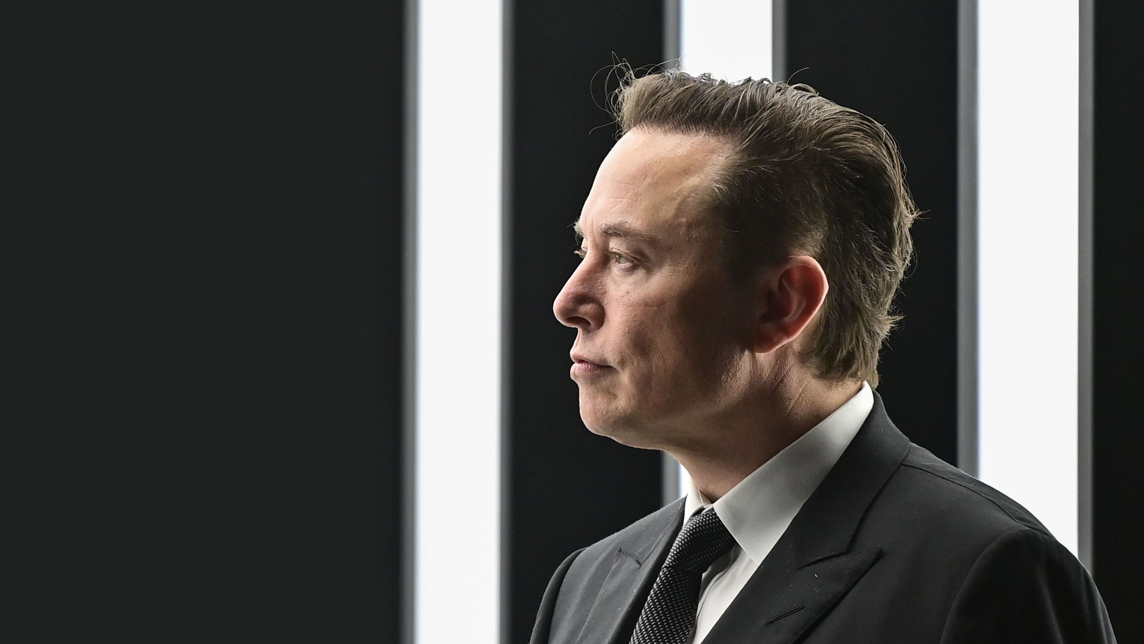 Image - Kehrt Twitter zurück? Möglicher Frontalangriff auf Musks Plattform X