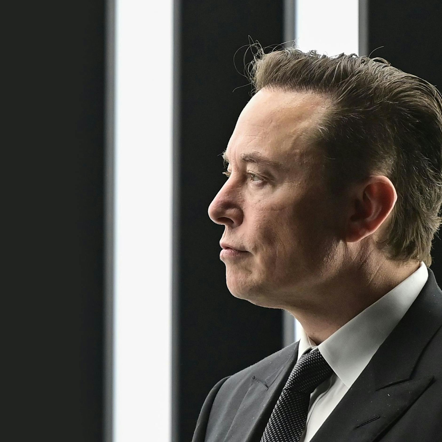 Image - Kehrt Twitter zurück? Möglicher Frontalangriff auf Musks Plattform X